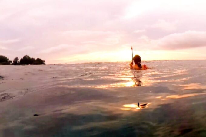 Gili Island Sunset Tour : Group Snorkeling & Sunset Cruise - Recap