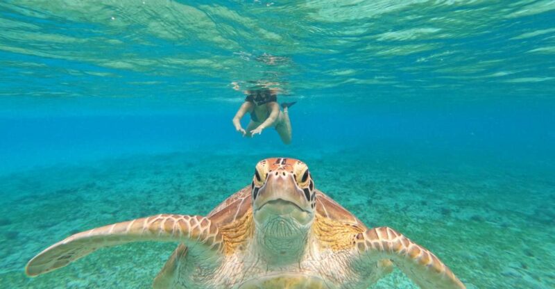 Gili Islands: 2-Hour Snorkel With Gopro Camera & Guide - Key Points