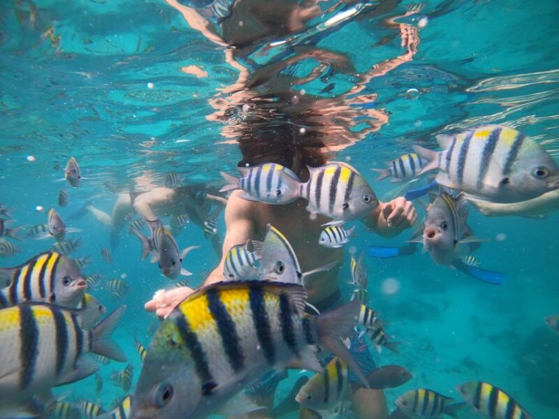 Gili Islands: 2-Hour Snorkel With Gopro Camera & Guide - Included Equipment