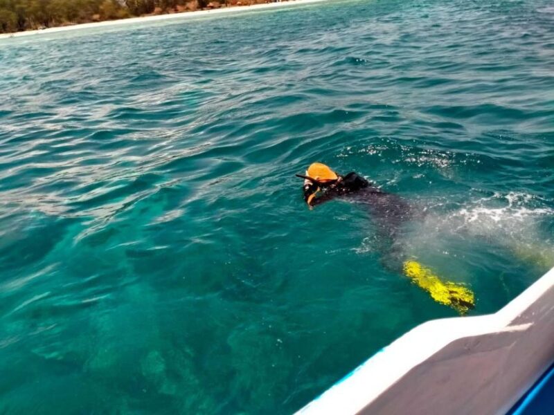 Gili Islands: 3 Island One-Day Trip With Snorkeling - Itinerary and Highlights