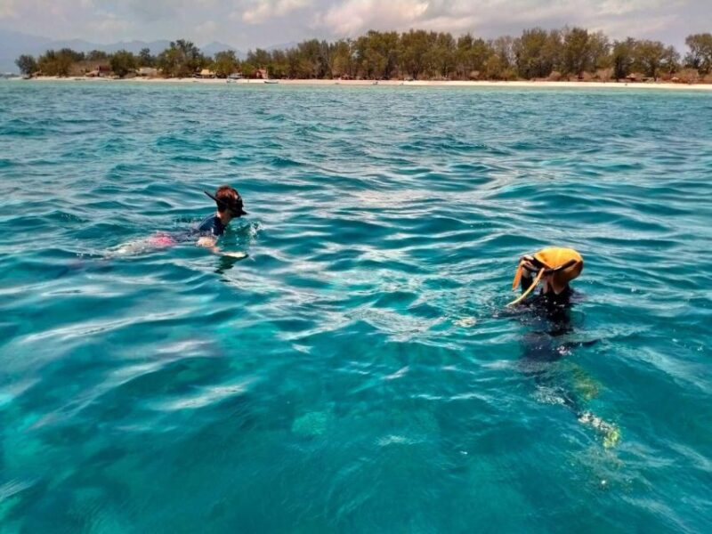 Gili Islands: 3 Island One-Day Trip With Snorkeling - Transportation and Pickup/Drop-off