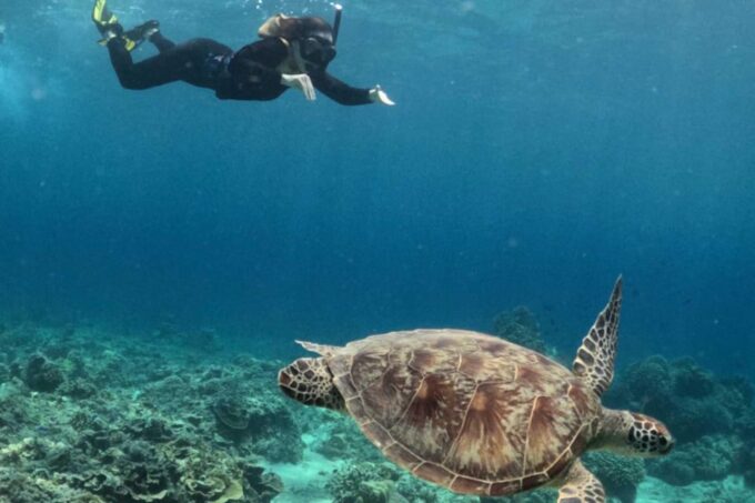 Gili Islands: 3 Island One-Day Trip With Snorkeling - Included Equipment and Gear