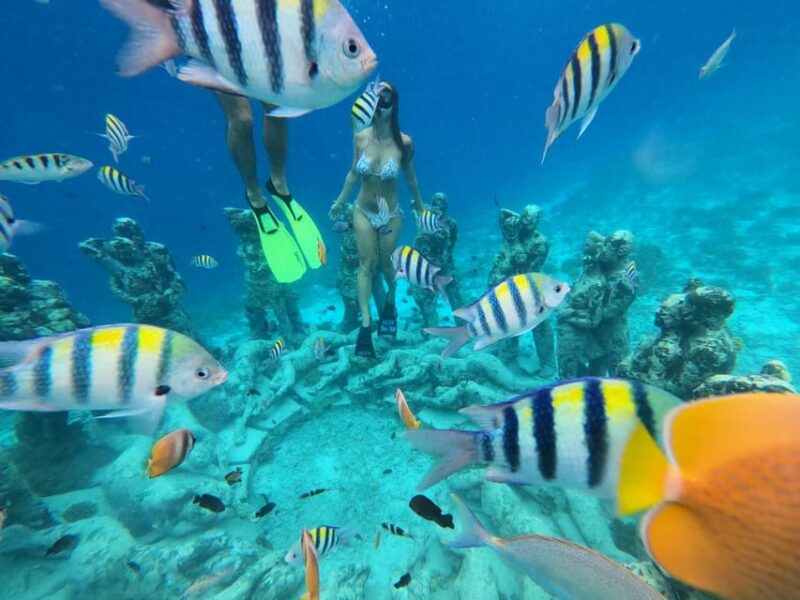 Gili Islands: 3 Islands Snorkeling Tour With Gopro - Important Information