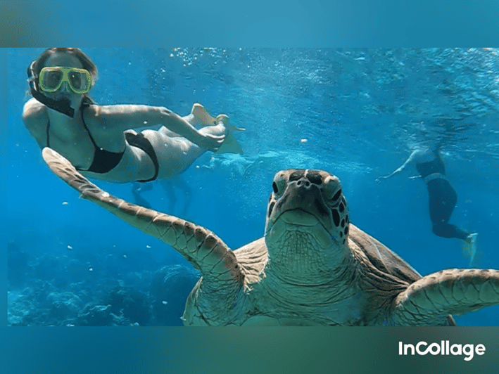 Gili Islands: Group/Shared Snorkelling Tour to 3 Islands - Equipment and Inclusions