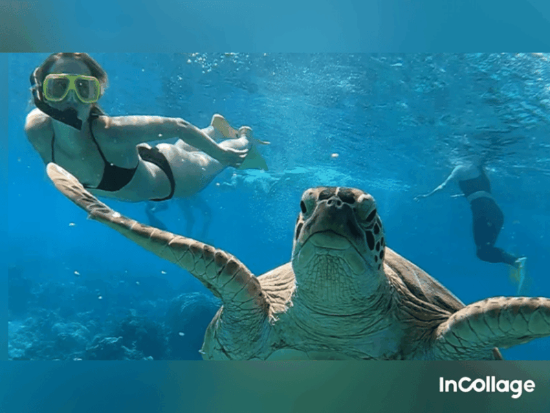 Gili Islands: Group/Shared Snorkelling Tour to 3 Islands - Customer Reviews and Ratings
