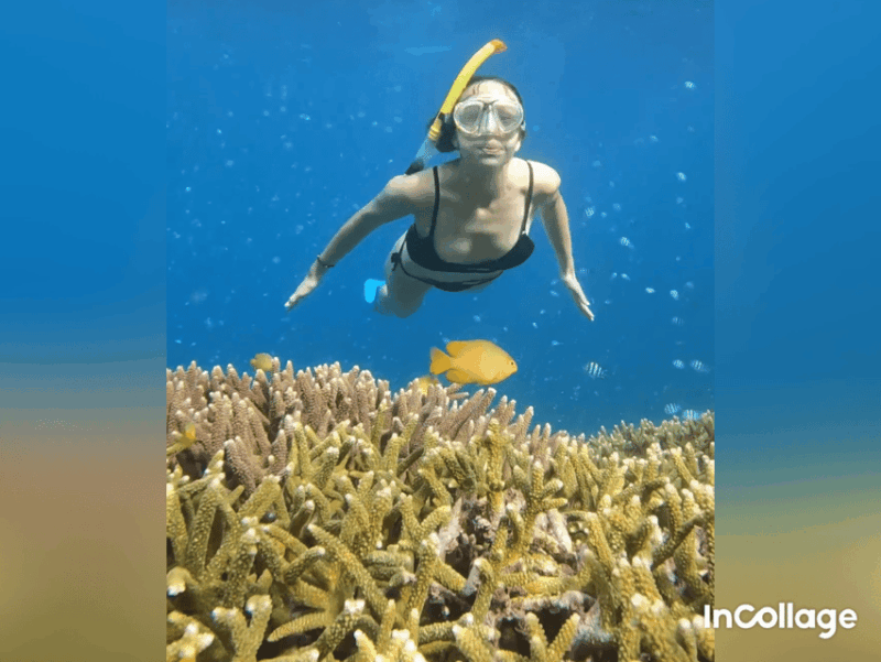 Gili Islands: Group/Shared Snorkelling Tour to 3 Islands - Flexible Booking and Cancellation