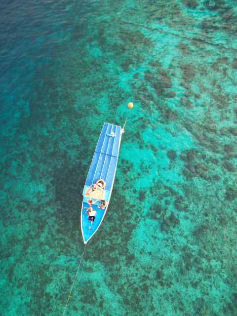 Gili Islands: Private or Shared Snorkeling Boat Trip - Customer Experience