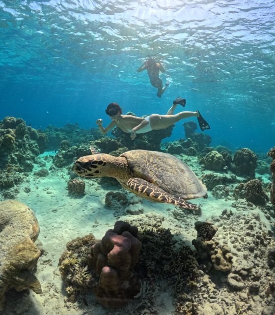 Gili Islands: Private or Shared Snorkeling Boat Trip - Booking Process