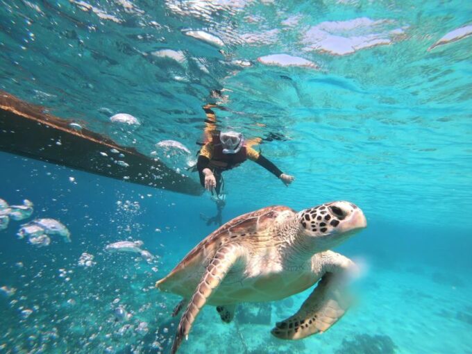 Gili Islands: Private or Shared Snorkeling Boat Trip - Photo Options