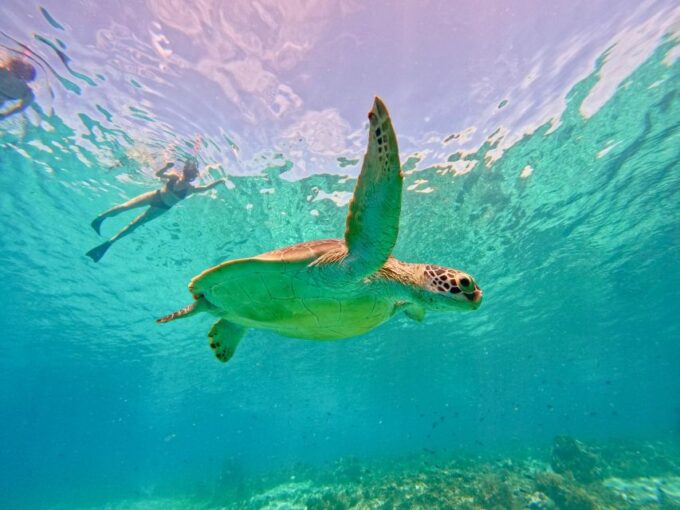 Gili Islands: Private or Shared Snorkeling Boat Trip - Cancellation Policy