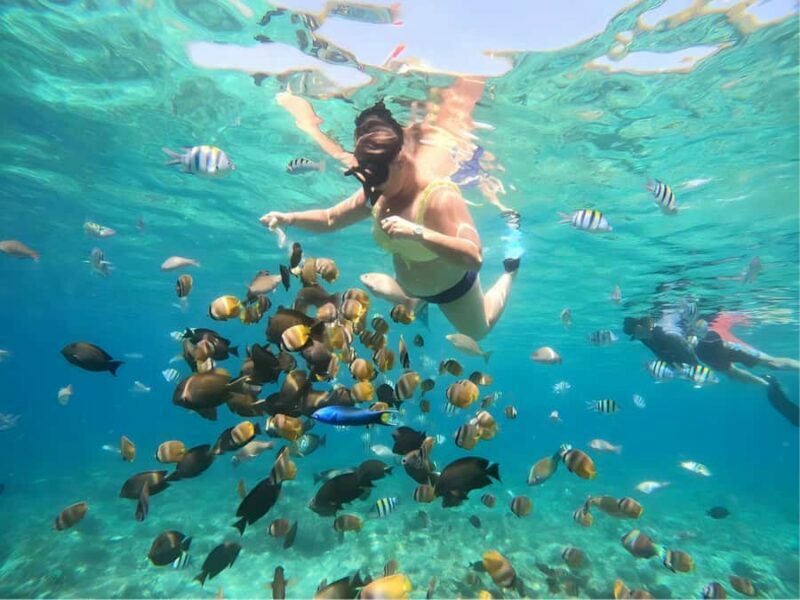 Gili Islands: Private Snorkeling Boat Tour with Local Guide - A Practical Look at the Gili Islands Snorkeling Tour