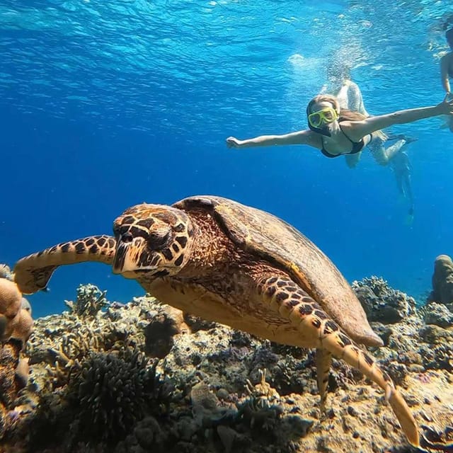 Gili Islands : Snorkelling Trip & Sunset Tour With Gopro - Equipment and Inclusions