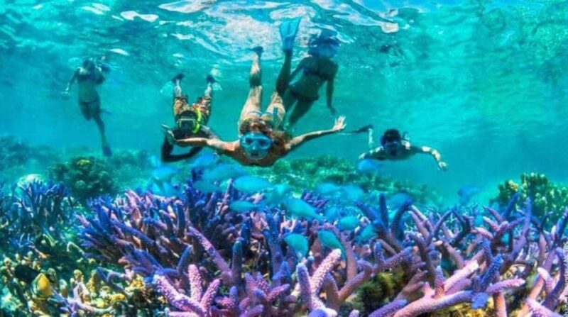 Gili Islands: Underwater Statues Cruise and Snorkeling - Key Points
