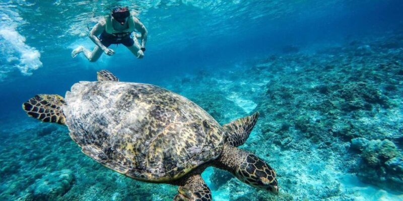 Gili Islands: Underwater Statues Cruise and Snorkeling - Itinerary Details