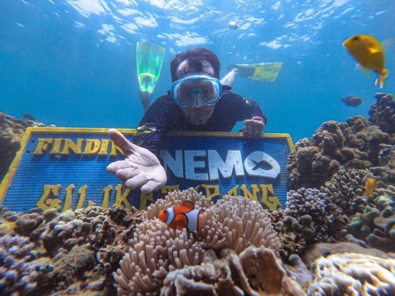 Gili Ketapang: Snorkeling & Local Island Wandering - Key Points