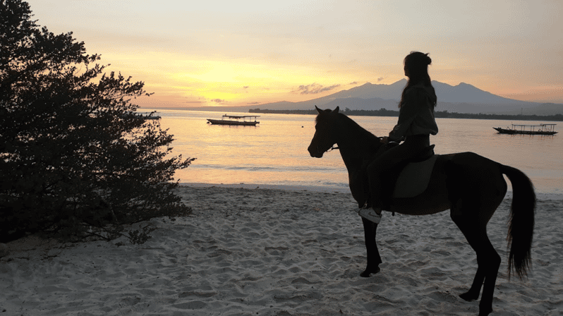 Gili Meno: 1-Hour Horse Riding Adventure - Key Points