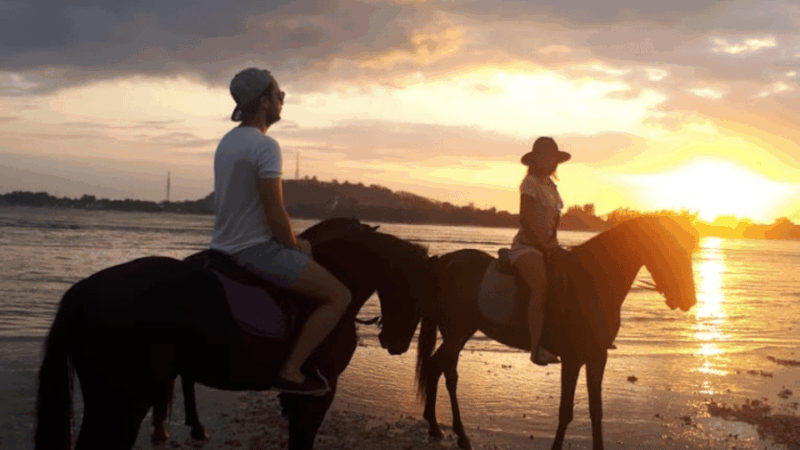 Gili Meno: 1-Hour Horse Riding Adventure - Experience Highlights