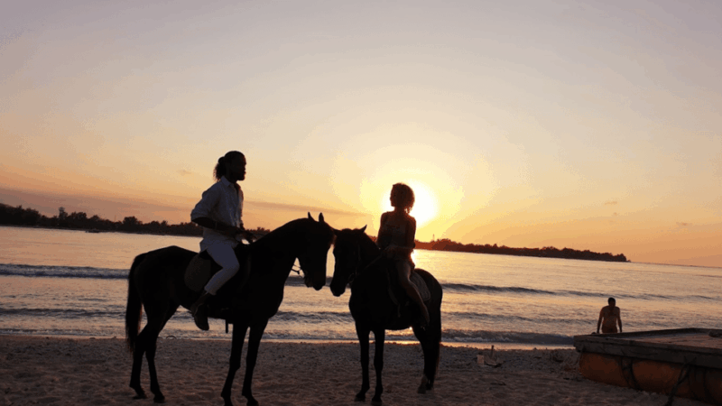 Gili Meno: 1-Hour Horse Riding Adventure - Guided Experience