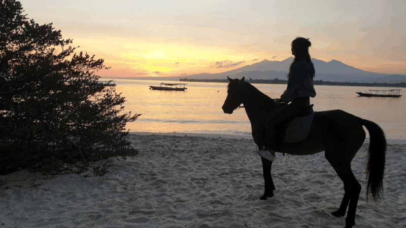 Gili Meno: 1-Hour Horse Riding Adventure - Inclusions