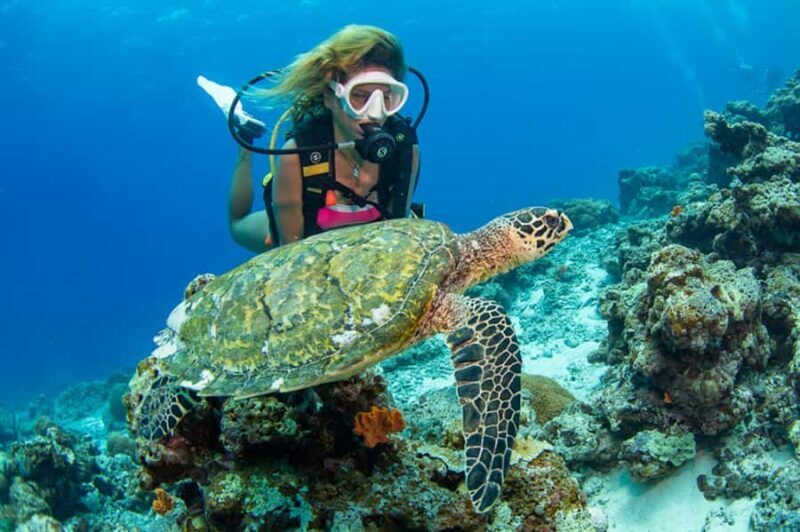 Gili Meno: Discover Scuba Diving for the first time - Is This Tour Right for You?