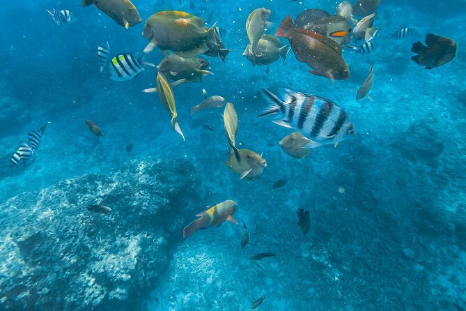 Gili Nanggu,Gili Kedis & Gili Sudak Hopping Island & Snorkeling Tour - Experience Highlights