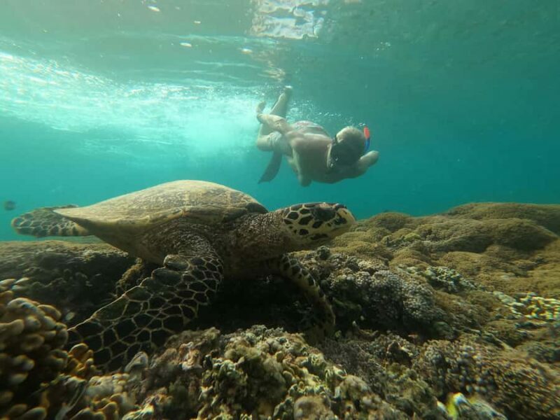 Gili Snorkeling Tour With GO PRO Documentation - Key Points