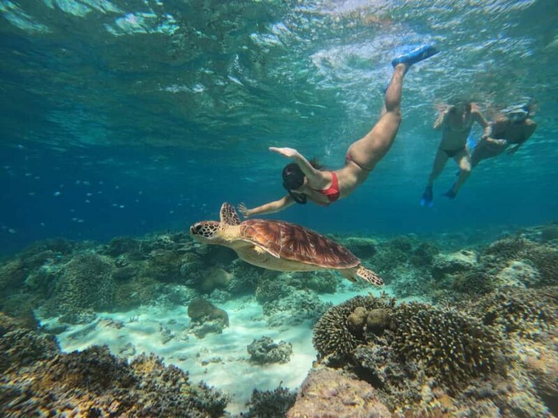 Gili Snorkeling Tour With GO PRO Documentation - An In-Depth Look at the Gili Snorkeling Experience