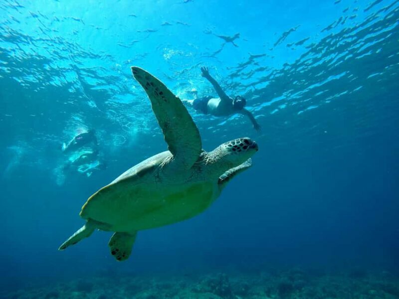 Gili SUNSET Snorkeling Tour With GOPRO Documentation - Key Points