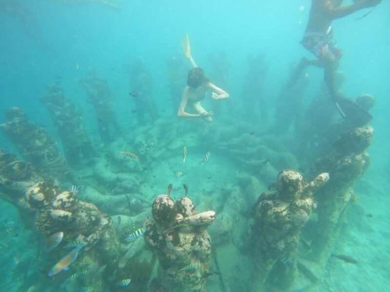 Gili T Island: Gili Snorkeling Day Trip Swim With Turtles - Equipment and Safety