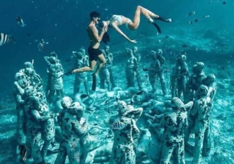 Gili T Island: Gili Snorkeling Day Trip Swim With Turtles - Meeting Point and Essentials