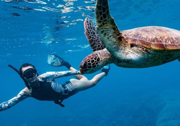 Gili T Island: Gili Snorkeling Day Trip Swim With Turtles - Inclusions and Exclusions