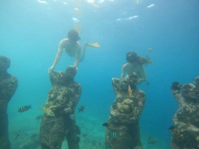 Gili T Island: Gili Snorkeling Day Trip Swim With Turtles - Suitable Travelers
