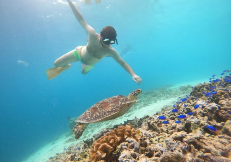 Gili T Island: The Thrilling Sunset Snorkeling Adventure - Equipment and Amenities