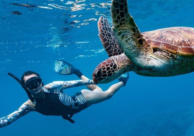 Gili T Island: The Thrilling Sunset Snorkeling Adventure - Booking and Cancellation Policy