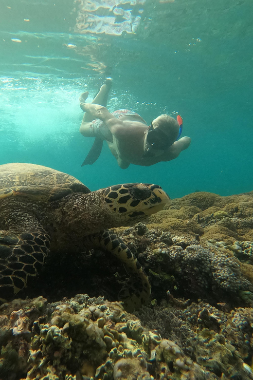 Gili T Snorkeling Trip By Glass Bottom Boat - Tour Inclusions and Requirements