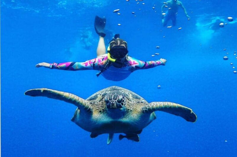 Gili Trawangan : 2 Hours Private Snorkeling 3 Spots + GOPRO - Key Points