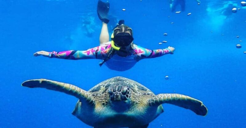Gili Trawangan : 2 Hours Private Snorkeling 3 Spots + GOPRO - Itinerary and Activities