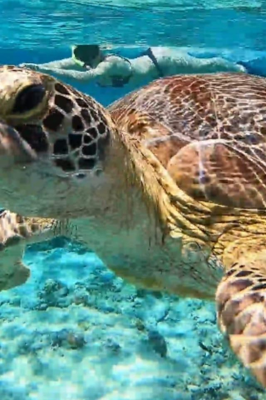 Gili Trawangan : 2 Hours Private Snorkeling 3 Spots + GOPRO - Inclusions and Gear