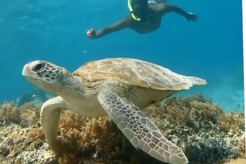 Gili Trawangan : 2 Hours Private Snorkeling 3 Spots + GOPRO - Participant Restrictions