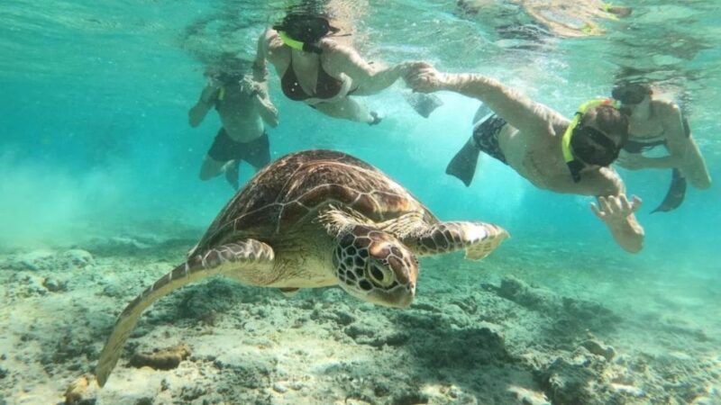 Gili Trawangan: Gili Island 3 Spots Snorkeling With Turtle - Included Equipment