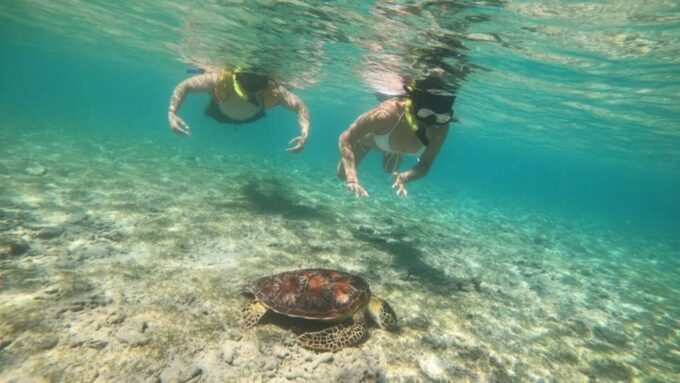 Gili Trawangan: Gili Island 3 Spots Snorkeling With Turtle - Suitability and Participants