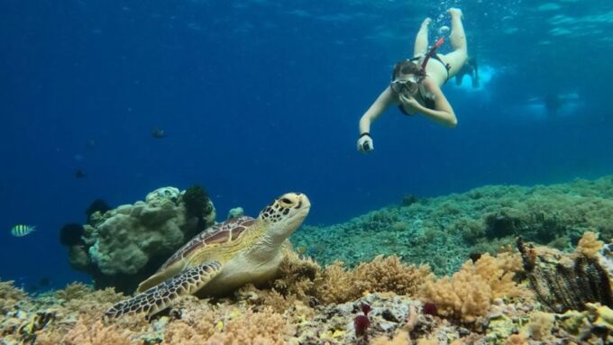 Gili Trawangan: Gili Island 3 Spots Snorkeling With Turtle - Customer Feedback