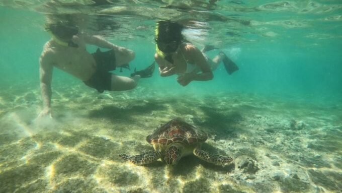 Gili Trawangan: Gili Island 3 Spots Snorkeling With Turtle - Booking Details