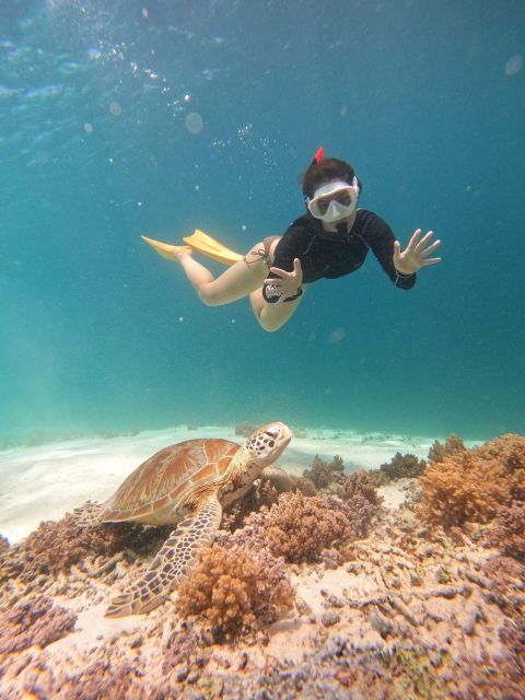Gili Trawangan: Gili Islands Sunset Boat Tour and Snorkeling - Customer Feedback and Ratings
