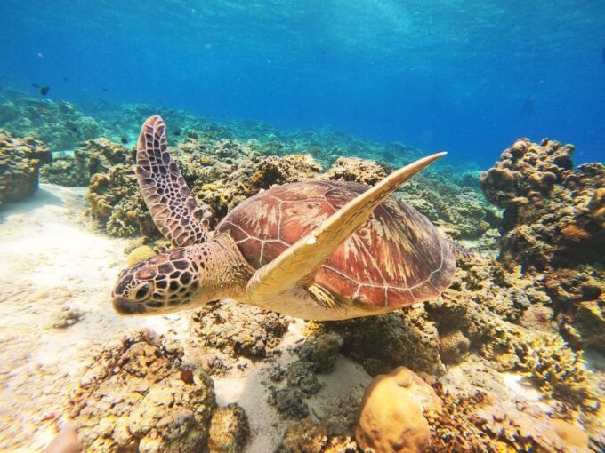Gili Trawangan: Gili Islands Sunset Boat Tour and Snorkeling - Frequently Asked Questions