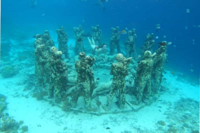 Gili Trawangan : Group/Share Snorkeling Tour 3 Gili Islands - Tour Overview and Pricing