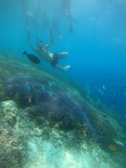 Gili Trawangan : Half Day Snorkeling With Turtle and Statue - Customer Feedback