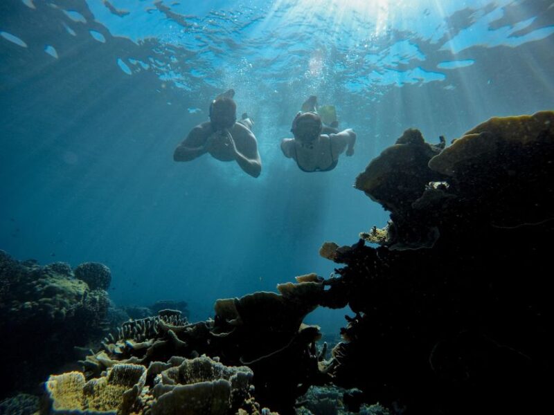 Gili Trawangan : Half Day Snorkeling With Turtle and Statue - Additional Information