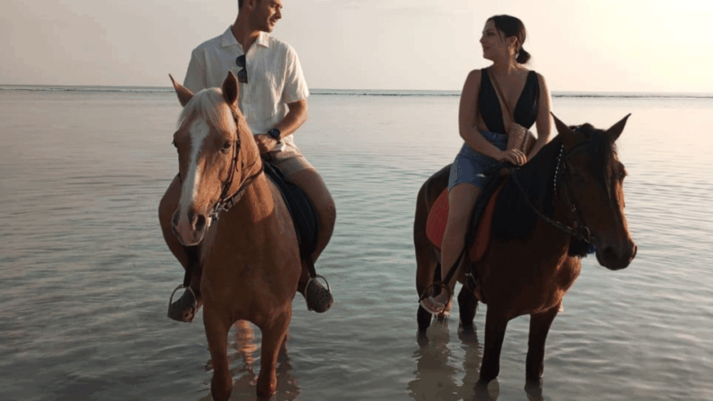 Gili Trawangan: Horse Riding on the Beach - Experience Highlights