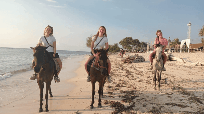 Gili Trawangan: Horse Riding on the Beach - Equipment and Recommendations